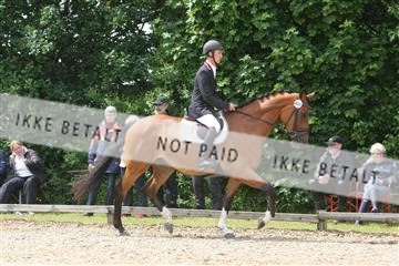 135518_ms_01_IMG_1469.JPG