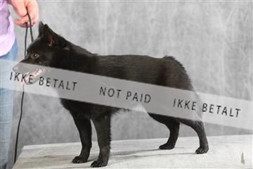 129608_le_ 01_0641.JPG