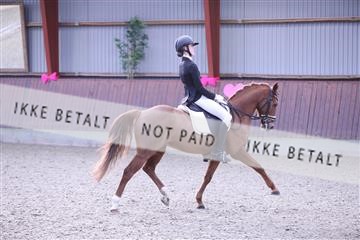 173883_mtp_01_3M5A0425.JPG