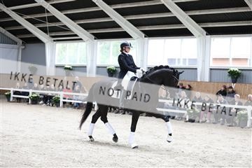 179088_mtp_01_3M5A3460.JPG