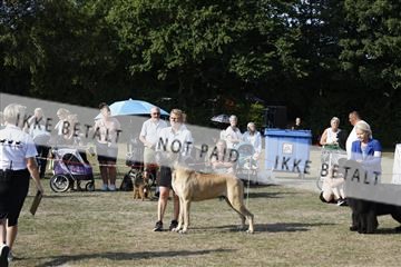 181848_kar_01__62_2735.JPG