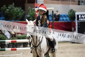 175934_avh_02_7698.JPG