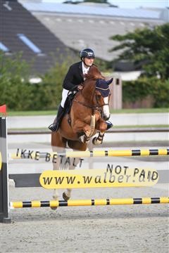 169152_abo_01_D05_0288.JPG