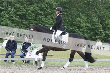 135518_ms_01_IMG_1899.JPG