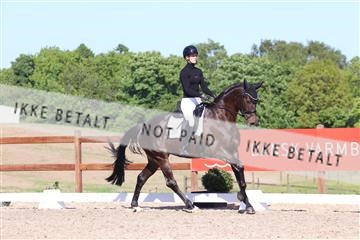 181449_bc_01R62_6160.JPG
