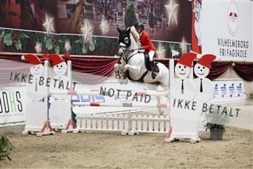 175934_avh_02_7470.JPG