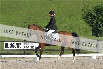 135086_sg_01_IMG_1791.JPG