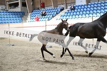 181754_kbb_01_Z093870.JPG