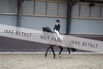 171210_mtp_01_3M5A6383.JPG