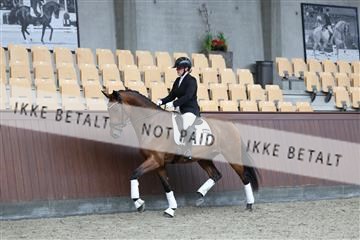 181852_mtp_02_R62_1803.JPG