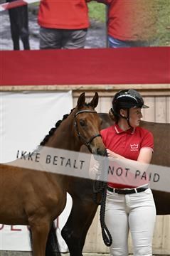 181957_kbb_01_Z096953.JPG
