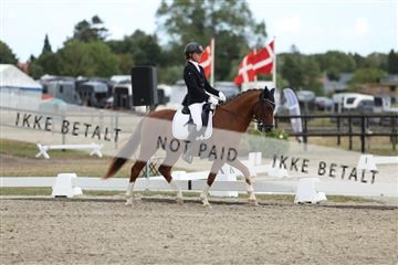 181894_mtp_03_R62_2870.JPG