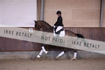 173821_mtp_01_3M5A8549.JPG