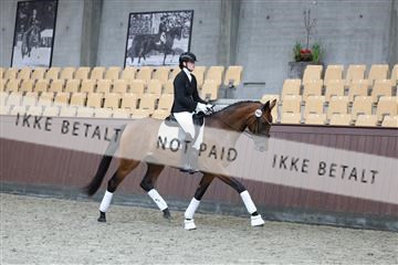 181852_mtp_04_R62_2906.JPG
