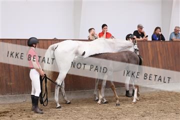 181755_bc_01R62_1528.JPG