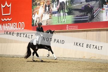 175676_avh_01_R62_4623.JPG