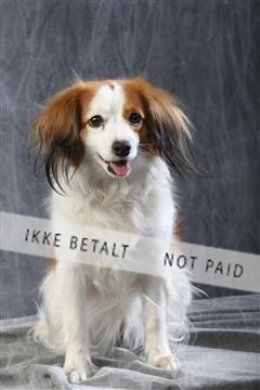 129608_le_ 01_0548.JPG