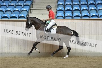 160111_nn_01__ESK1518.JPG