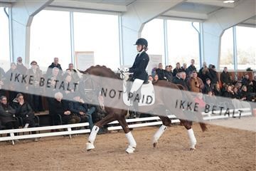179022_kbb_01_R6II2545.JPG