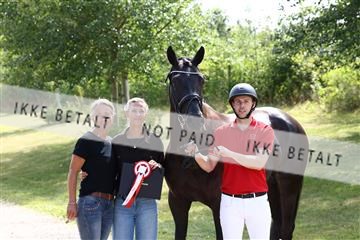 181757_avh_01_6285.JPG