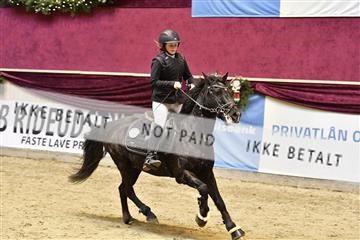 161006_abo_01__D050651.JPG