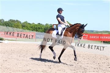 181449_bc_01R62_5809.JPG