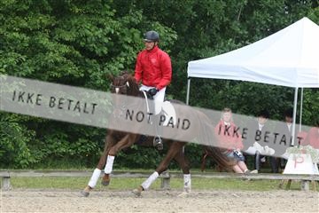 135518_ms_01_IMG_0861.JPG