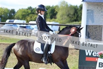 181894_mtp_05_R62_5594.JPG