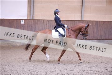 173821_mtp_01_3M5A9228.JPG