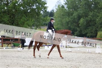 181923_mtp_01_R62_6449.JPG