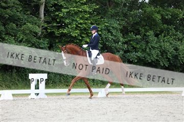 172073_mtp_01_3M5A3082.JPG