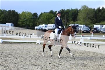 181894_mtp_05_R62_5260.JPG