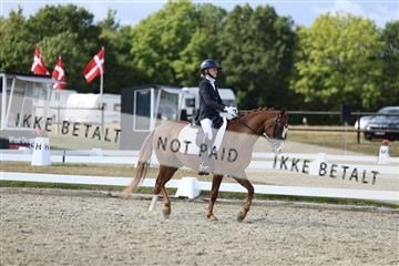 181894_mtp_05_R62_4965.JPG