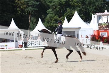 179800_BC_04_00125.JPG