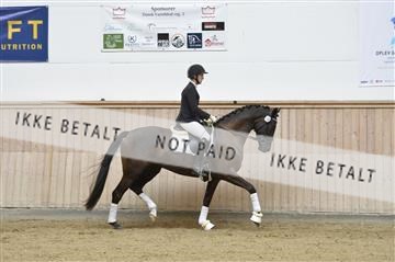 160111_nn_01__ESK2023.JPG