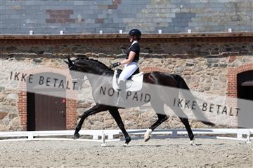 174742_bc_01_R62_2267.JPG