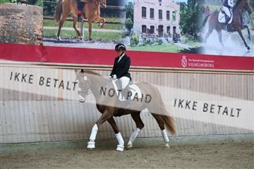 181887_mtp_02_R62_7301.JPG