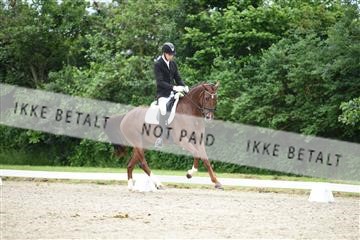 162958_mep_01_DSC_6657.JPG