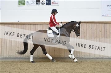 160111_nn_01__ESK1580.JPG
