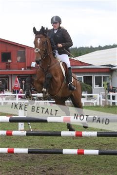 5925_ma_05_IMG_0706.JPG