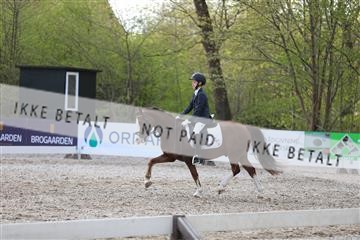 174512_mtp_01_3M5A7052.JPG