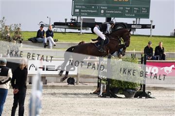 181922_avh_04_2066.JPG