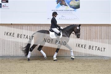 160111_nn_01__ESK1974.JPG