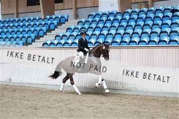 181887_mtp_04_R62_8989.JPG