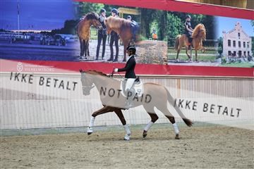 181887_mtp_05_R62_9690.JPG