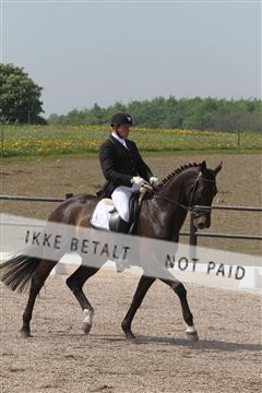 135086_sg_01_IMG_0270.JPG