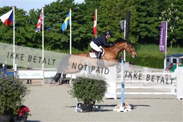 181436_avh_01_3005.JPG