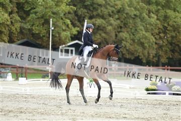 181923_mtp_04_R62_9154.JPG