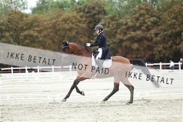 181923_mtp_04_R62_9163.JPG