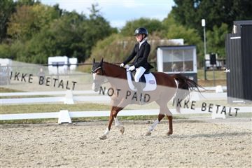 181894_mtp_05_R62_5218.JPG